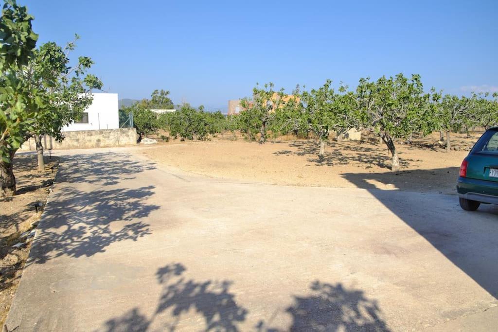 Вілла Nick'S House Aegina Екстер'єр фото