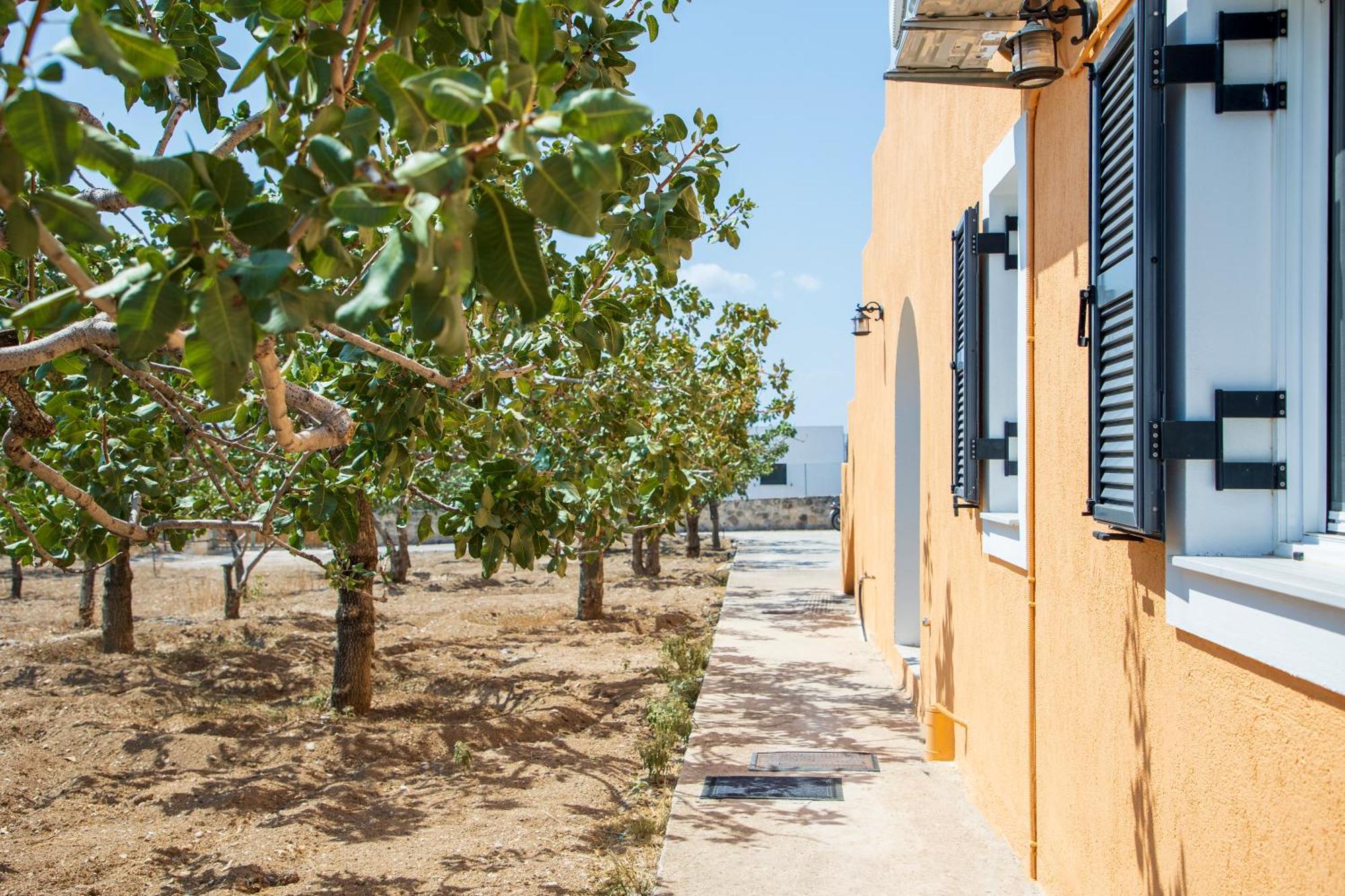Вілла Nick'S House Aegina Екстер'єр фото